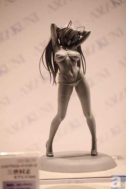 【WF2014冬】ワンダーフェスティバル2014[冬]　メーカーフォトレポ13-11
