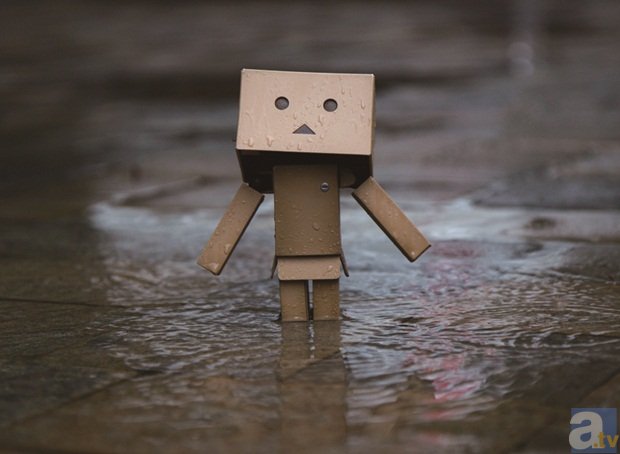 ダンボーがいっぱい！　「ダンボー写真展」が大丸心斎橋店で開催決定！-1