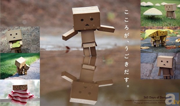 ダンボーがいっぱい！　「ダンボー写真展」が大丸心斎橋店で開催決定！-2