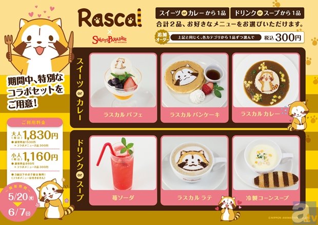 LINEスタンプで人気再燃中のキャラクター・ラスカルがいっぱい！　「Rascal cafe ×SweetsParadise」開催決定！の画像-1