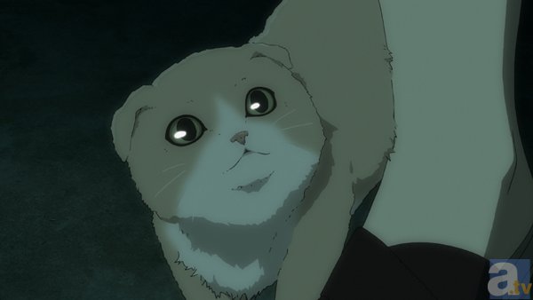 TVアニメ『デュラララ!!×２ 転』♯19「猫を殺せば七代祟る」より先行場面カット到着