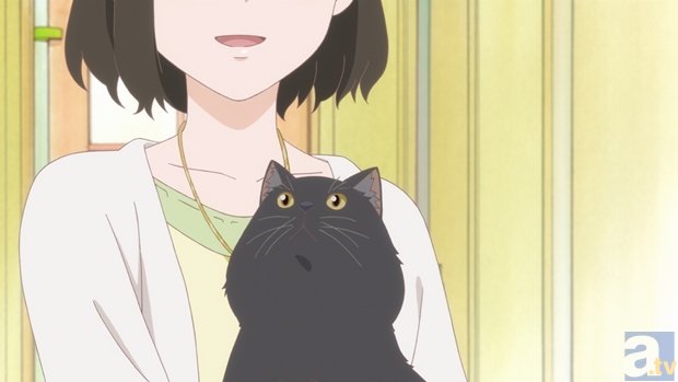 新海誠氏の自主制作 彼女と彼女の猫 がtvアニメ化 アニメイトタイムズ
