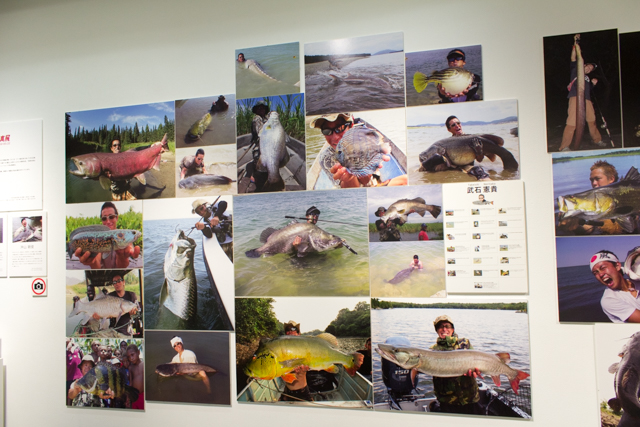 未知なる魚との奮闘記!?　pixiv Zingaroにて開催中の「世界の怪魚写真展～武石 憲貴・小塚 拓矢・沖山 朝俊」フォトレポート-5