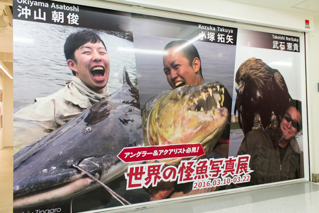 未知なる魚との奮闘記!?　pixiv Zingaroにて開催中の「世界の怪魚写真展～武石 憲貴・小塚 拓矢・沖山 朝俊」フォトレポート-1