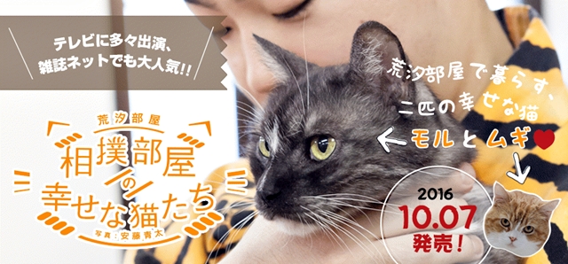 テレビに多々出演、雑誌ネットでも大人気の相撲部屋で暮らす猫「モル」と「ムギ」の写真集が発売！の画像-1