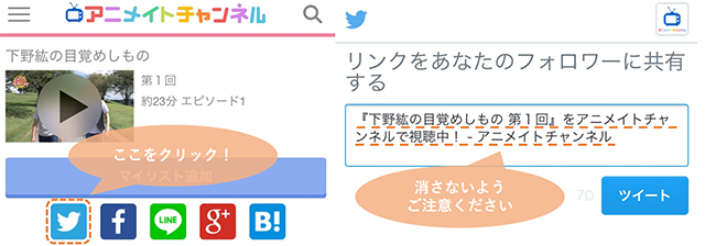 アニメイトチャンネルにてアニメイト商品券5000円分が当たる！　Twitterキャンペーン実施中！
