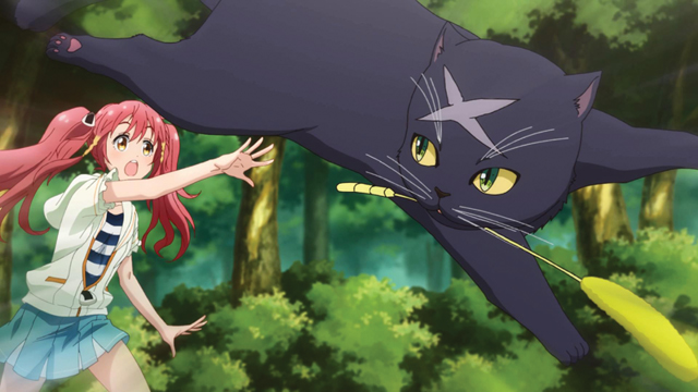 TVアニメ『アイドル事変』第3話より先行カット到着！猫のパラダイス“猫ノ島”で一大スペクタクルが巻き起こる！