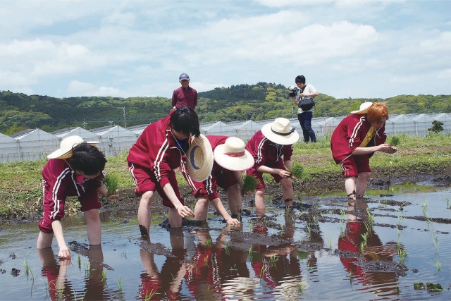 TVアニメ『ラブ米 -WE LOVE RICE-』シリーズ連動農業体験型イベント始動。6月18日に石井マークさんら参加で開催決定！