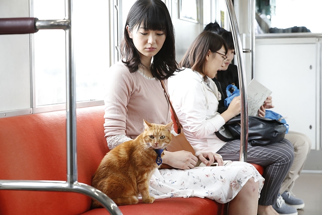 丹下桜さんが猫の「そうにゃん」役を務めるSP動画「SOTETSU STORY」第2話が公開！　今回は「一人暮らしの女性目線」がテーマ-2