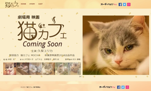 久保ユリカさん、猫の日に実写映画『猫カフェ』で初主演決定！　自身のツイッターでも報告-1