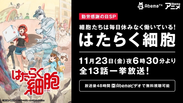 TVアニメ『はたらく細胞』11月23日の「勤労感謝の日」にAbemaTVで全話無料一挙放送！放送終了後48時間はAbema ビデオで無料視聴可能